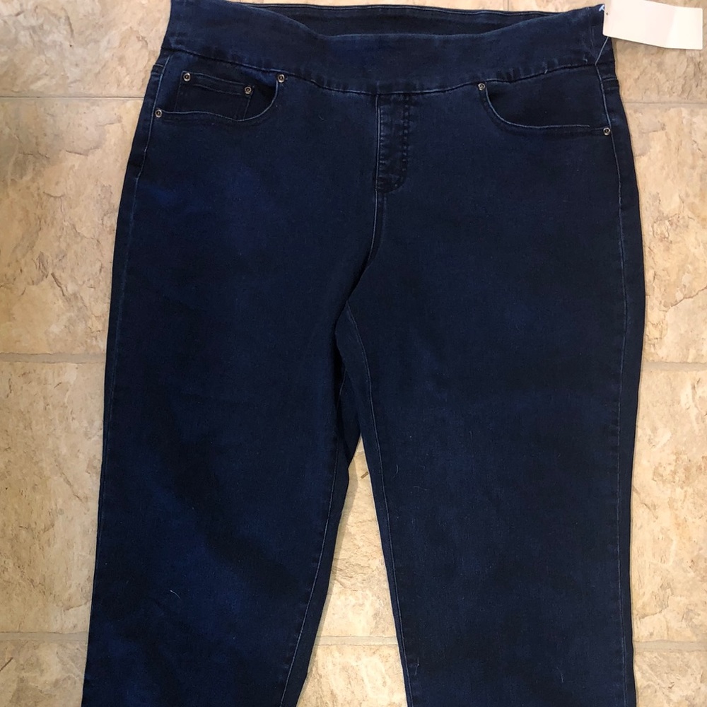 Plus size tummy control jeggings NWT